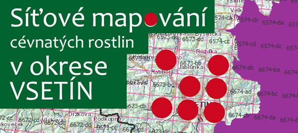 obr-sitove-mapovani