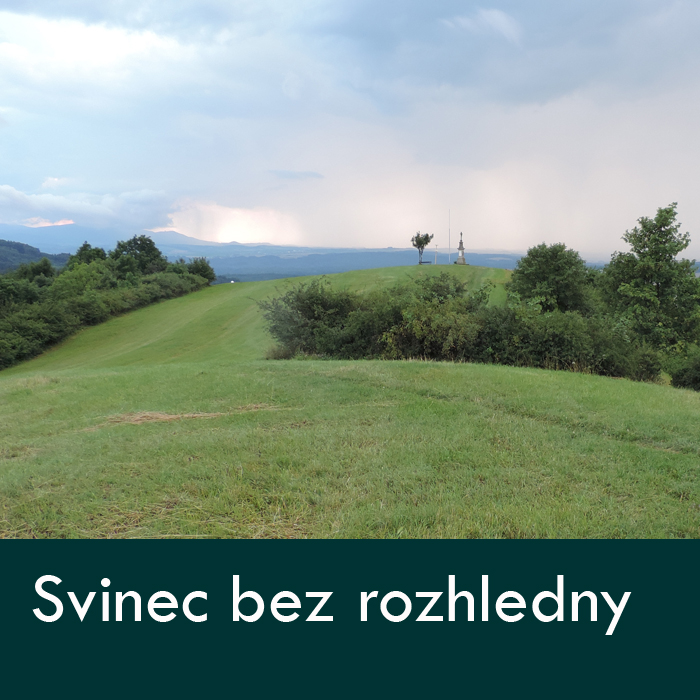 svinec-pohled-bez